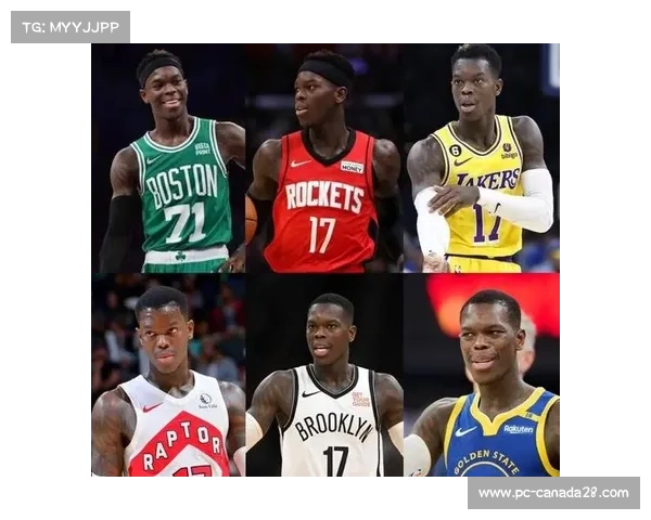 国王两年 3000 万签施罗德 后场双核剑指季后赛